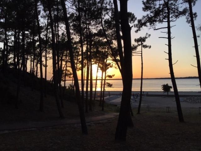 Arcachon Villa Aux Abatilles מראה חיצוני תמונה